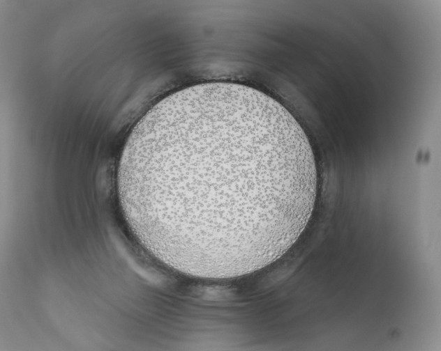 X0000110900165200907161601