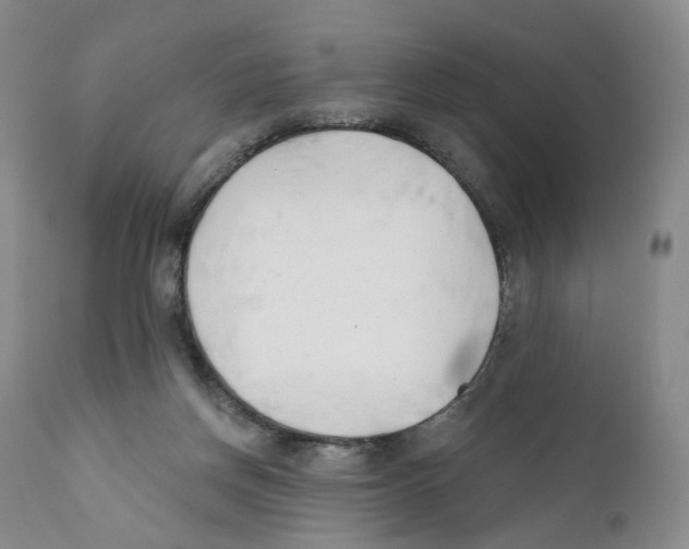 X0000110900166200907161601