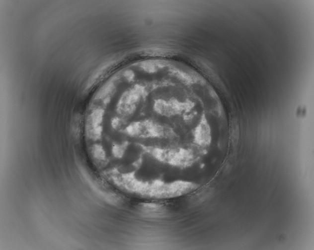 X0000110900167200907161601