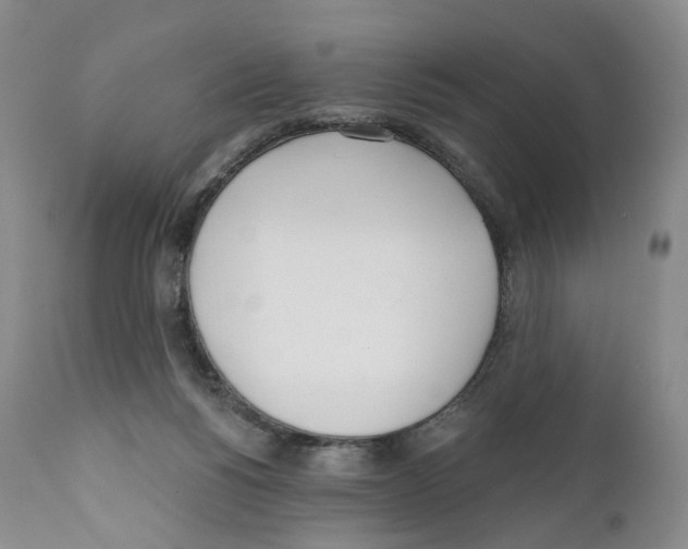 X0000110900168200907161601