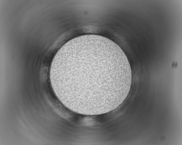 X0000110900171200907161601