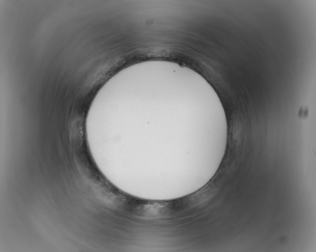 X0000110900172200907161601