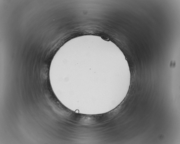 X0000110900174200907161601