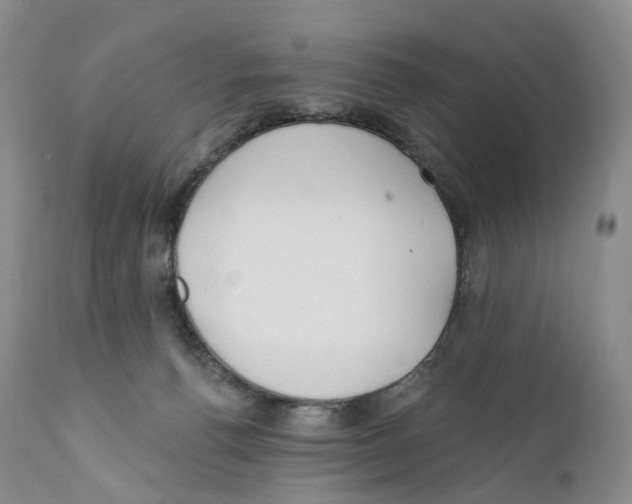 X0000110900176200907161601