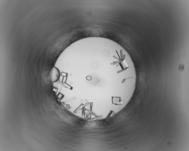 X0000110900177200907161601