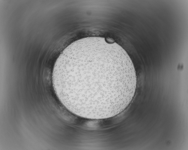 X0000110900178200907161601