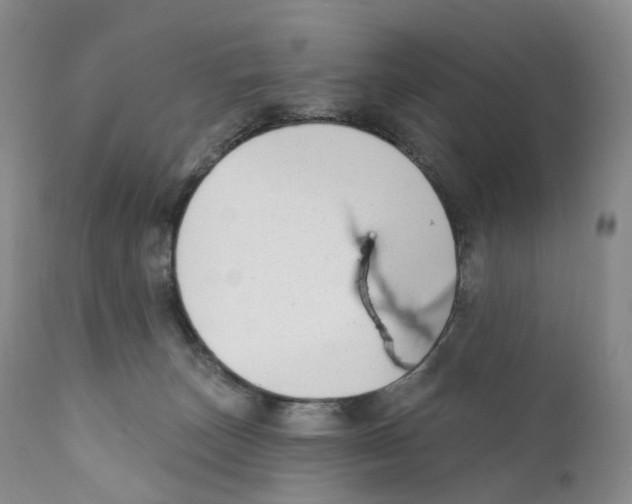 X0000110900179200907161601