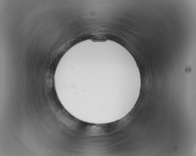 X0000110900180200907161601