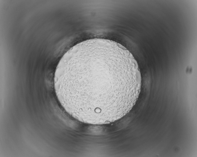 X0000110900181200907161601