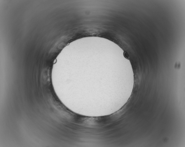 X0000110900182200907161601