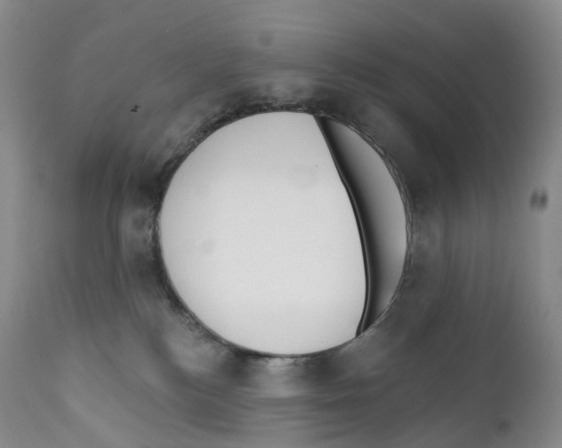 X0000110900184200907161601