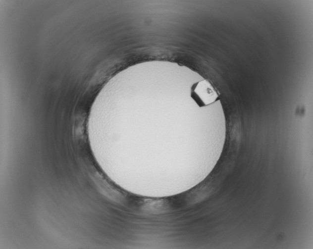 X0000110900185200907161601