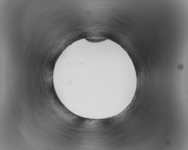 X0000110900186200907161601