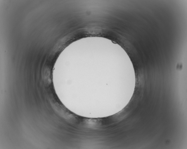 X0000110900187200907161601