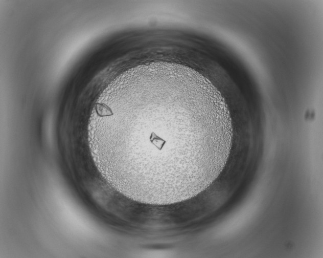 X0000110900189200907161601