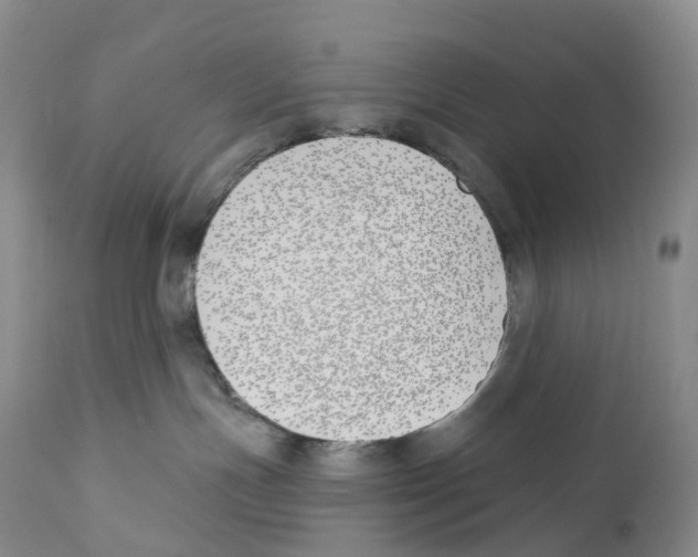 X0000110900191200907161601