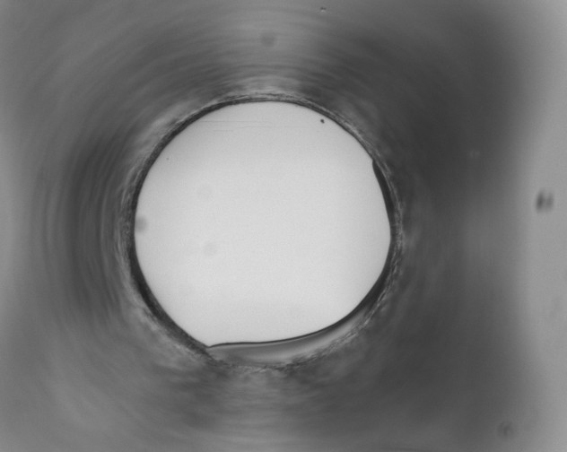 X0000110900193200907161600