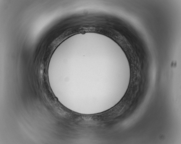 X0000110900194200907161600