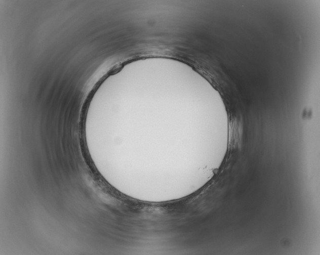 X0000110900195200907161600