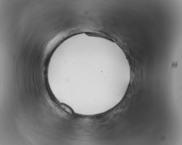 X0000110900197200907161600