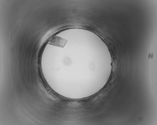 X0000110900198200907161600