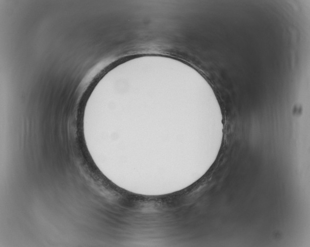 X0000110900200200907161600