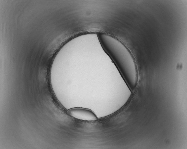 X0000110900201200907161600