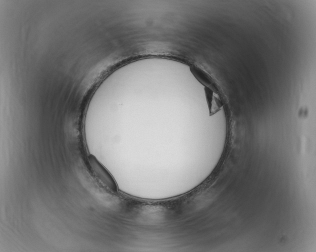 X0000110900203200907161600