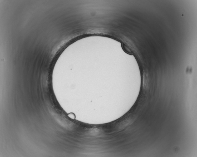 X0000110900204200907161600