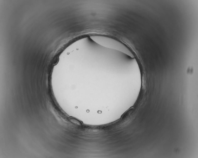 X0000110900205200907161600