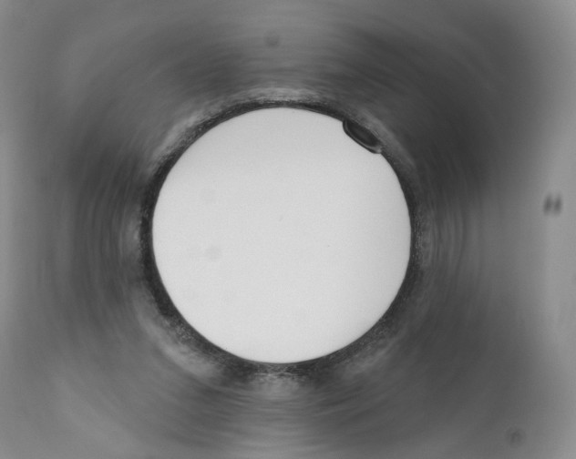 X0000110900207200907161600