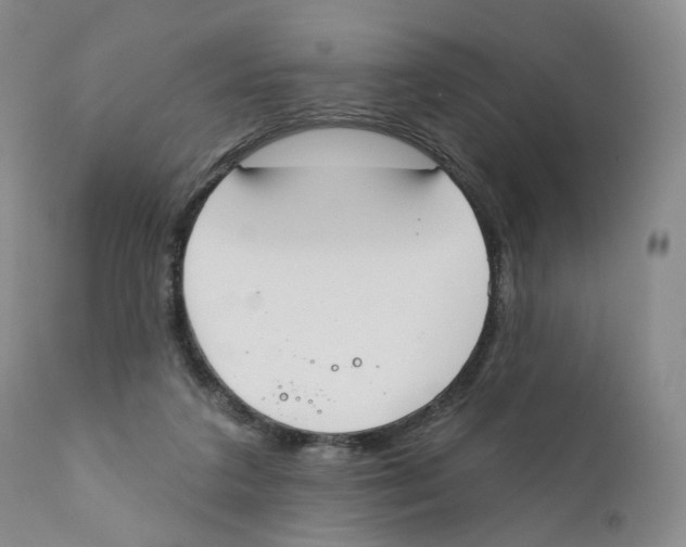 X0000110900211200907161600