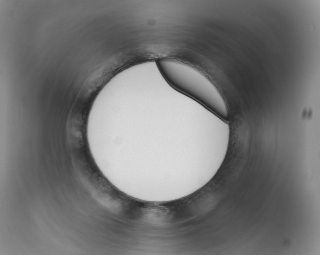 X0000110900215200907161600