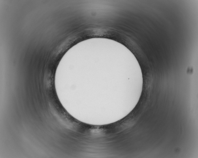 X0000110900216200907161600