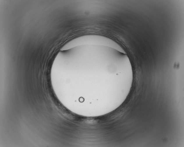 X0000110900217200907161600