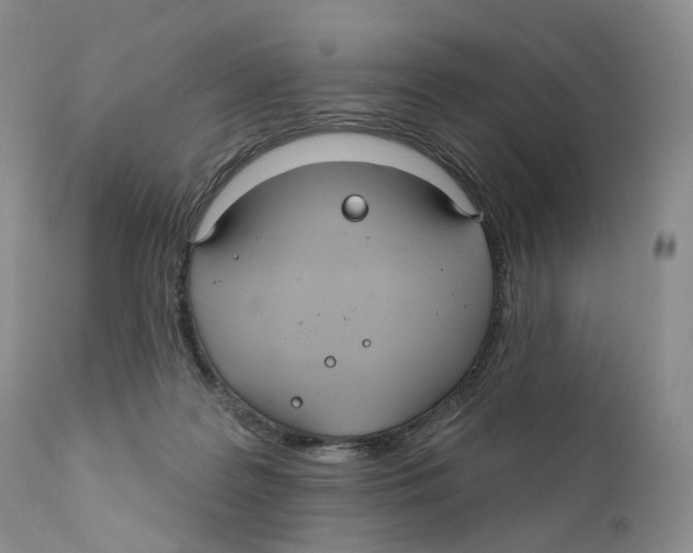 X0000110900219200907161600