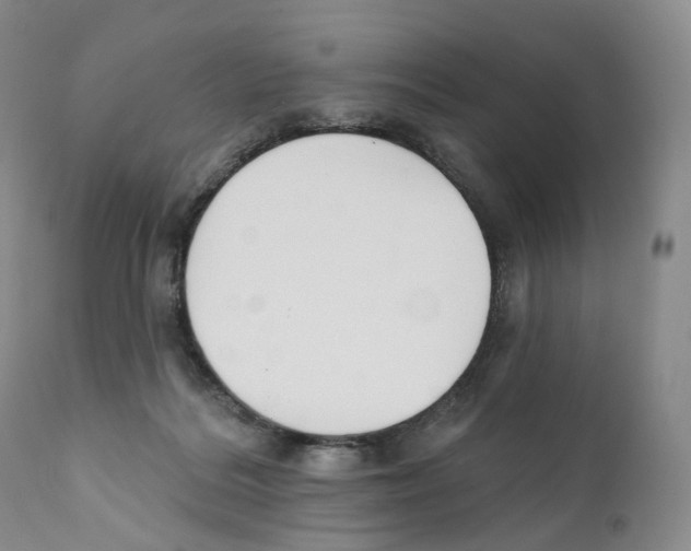 X0000110900220200907161600