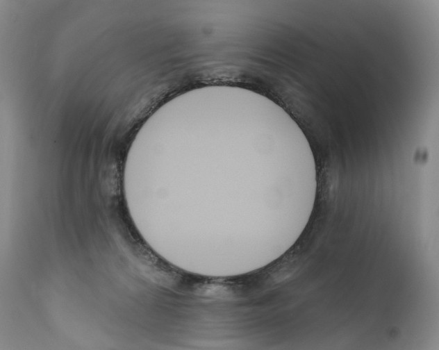 X0000110900224200907161600