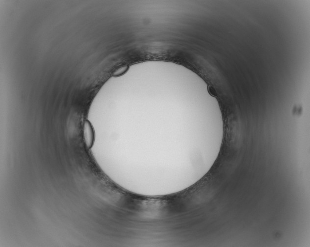 X0000110900225200907161600