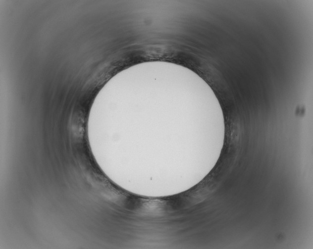 X0000110900226200907161600