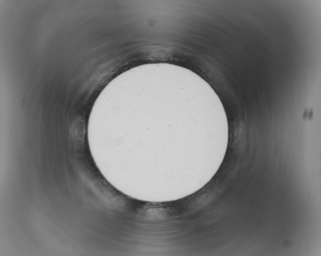 X0000110900228200907161600