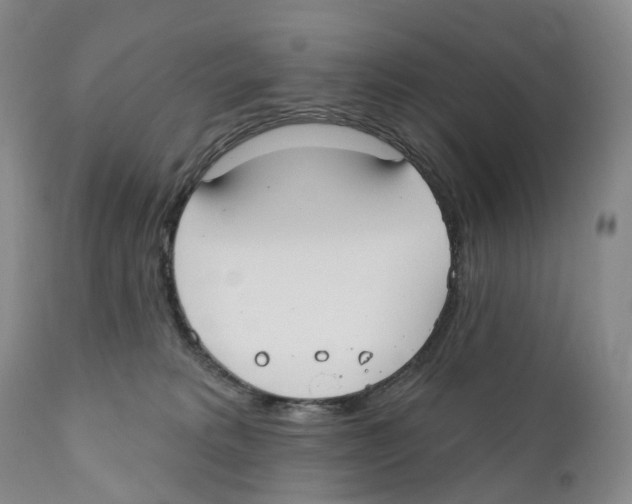 X0000110900229200907161600