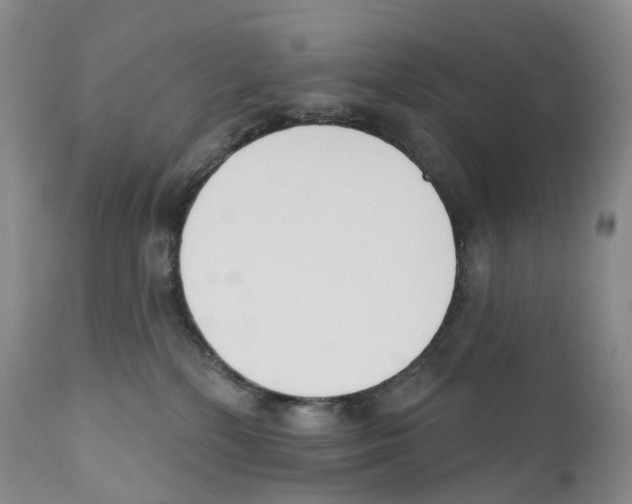 X0000110900232200907161600