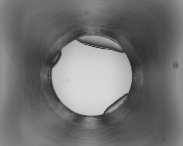 X0000110900233200907161600