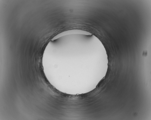 X0000110900235200907161559