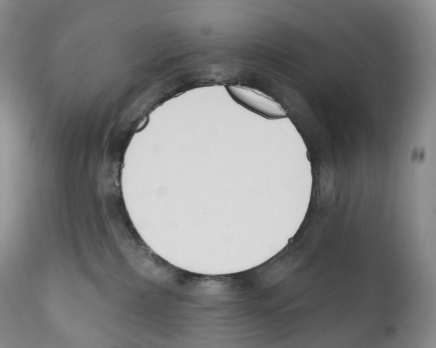 X0000110900236200907161559