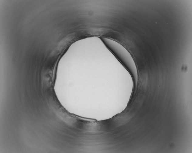 X0000110900237200907161559