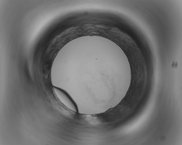 X0000110900239200907161559