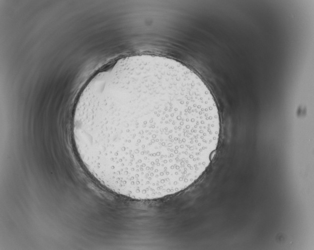 X0000110900241200907161559