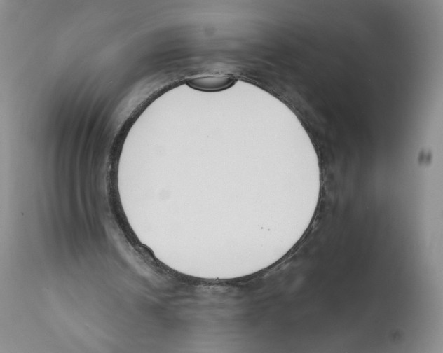 X0000110900242200907161559